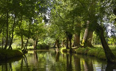 The Marais Poitevin, near the campsite tulips, camping with heated pool and direct beach access - Camping les tulipes