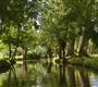 The Marais Poitevin, near the campsite tulips, camping with heated pool and direct beach access - Camping les tulipes