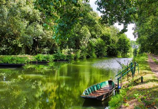 The Marais Poitevin, near the campsite tulips, camping with heated pool and direct beach access