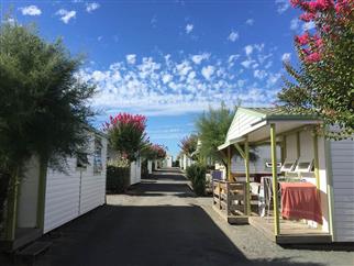 Camping les tulipes